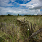 Threshold to the Invisible Shore – Ouistreham Dunes