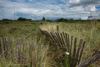 Threshold to the Invisible Shore – Ouistreham Dunes